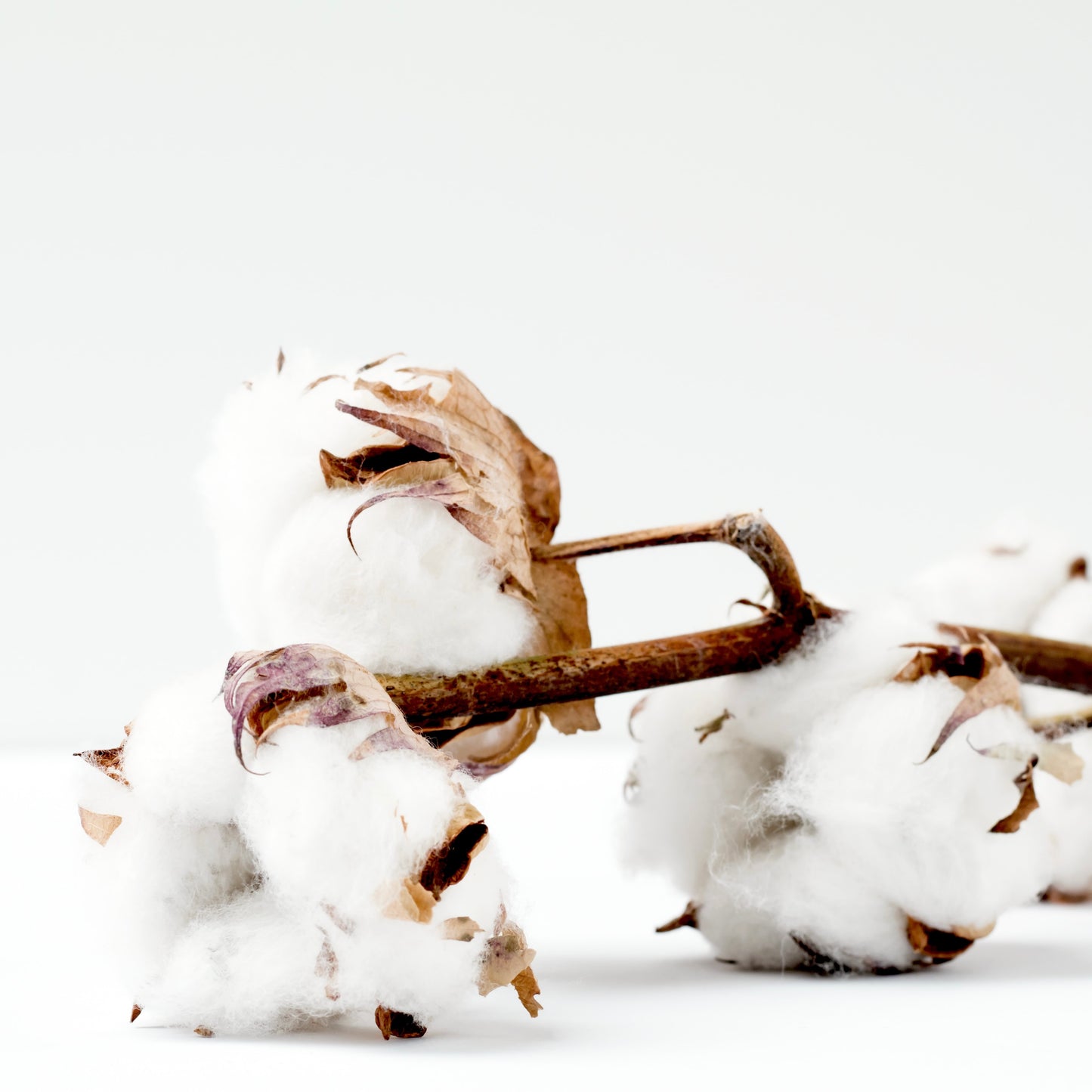 Clean Cotton Duftöl