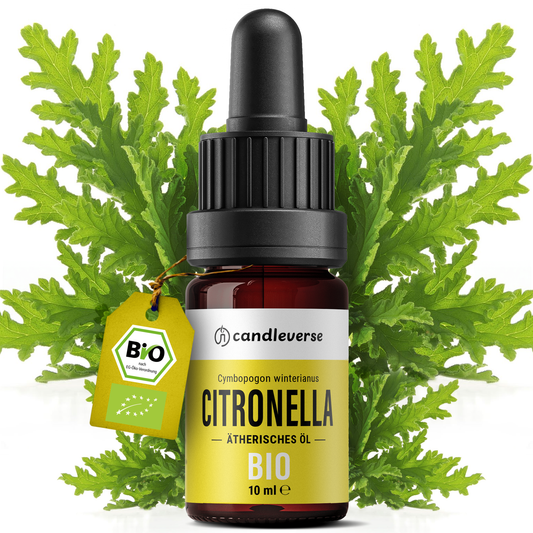 Citronella Essential Oil 