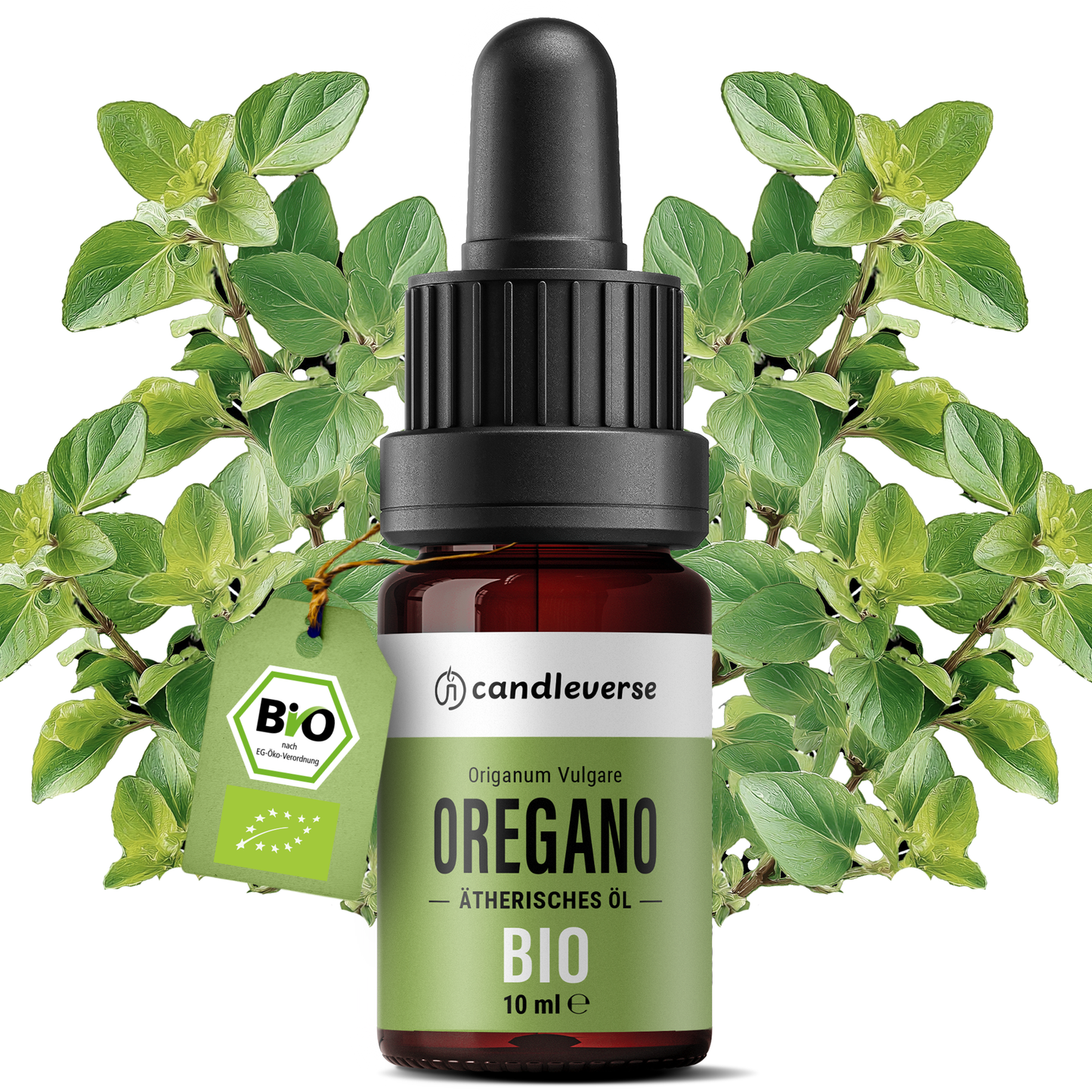 Lavender Essential Oil