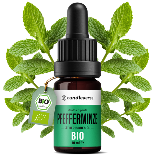 Mint Essential Oil