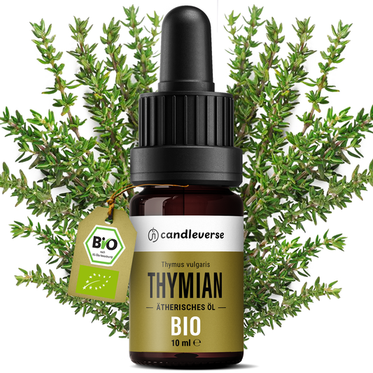 Lavender Essential Oil