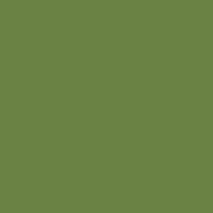 Wax color highly concentrated | olive green