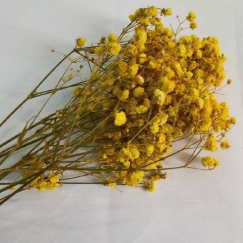 dried flowers