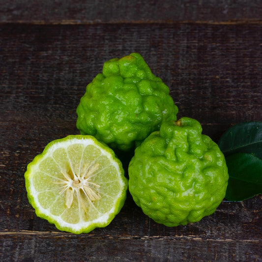 Bergamot Essential Oil