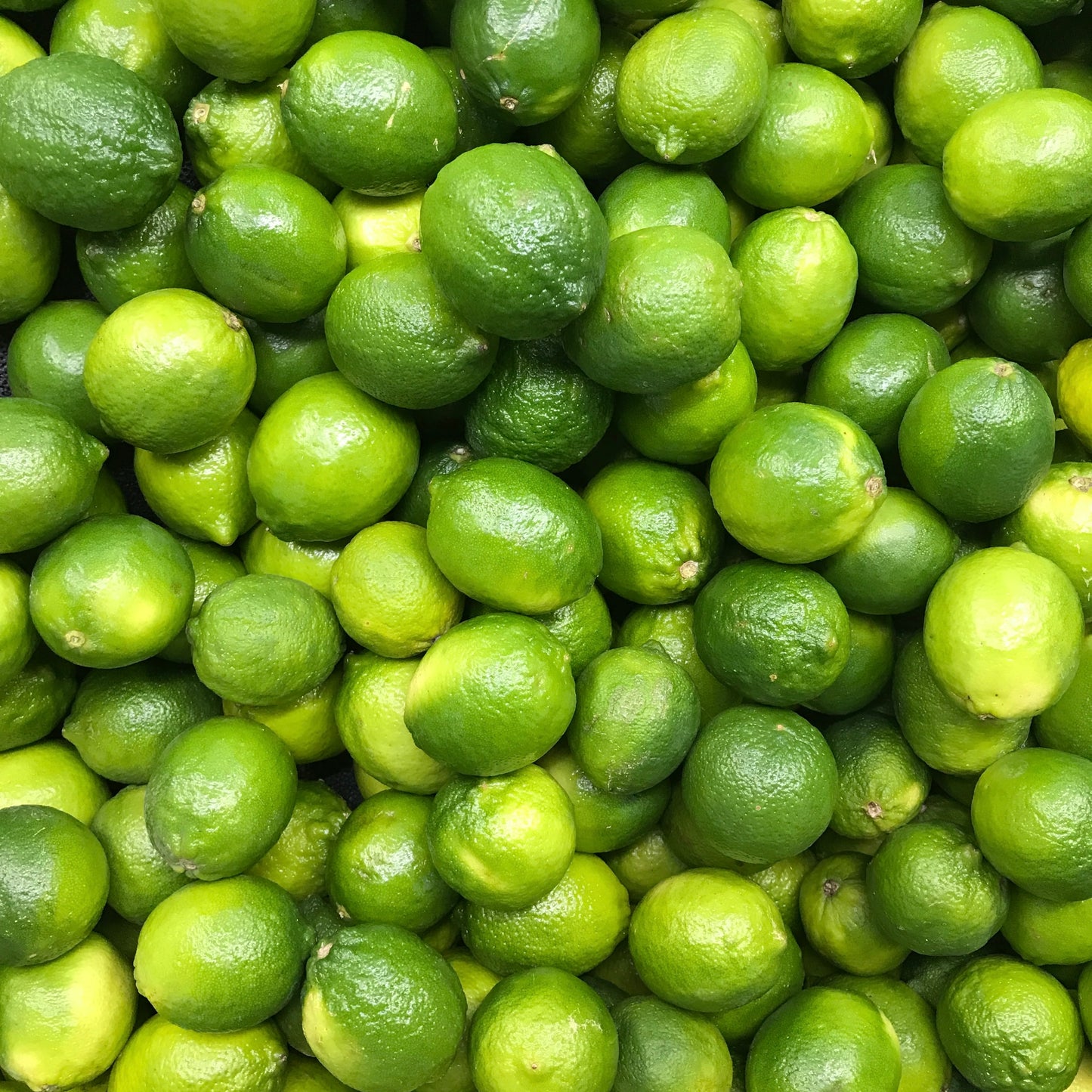 Lime Essential Oil